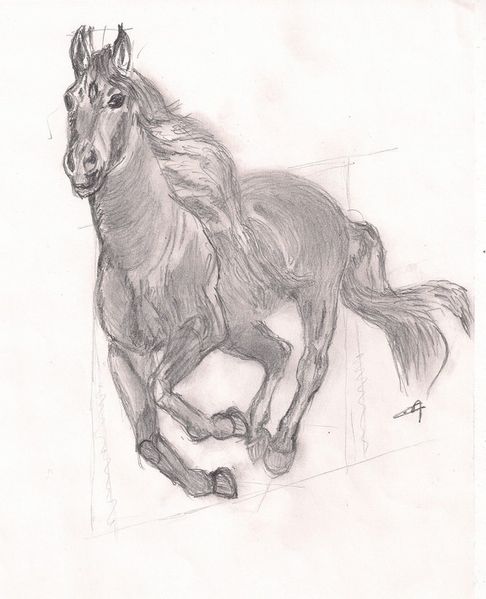 Coloriage De Cheval Au Galop