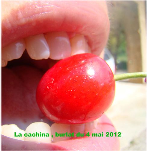 burlat-2012.jpg