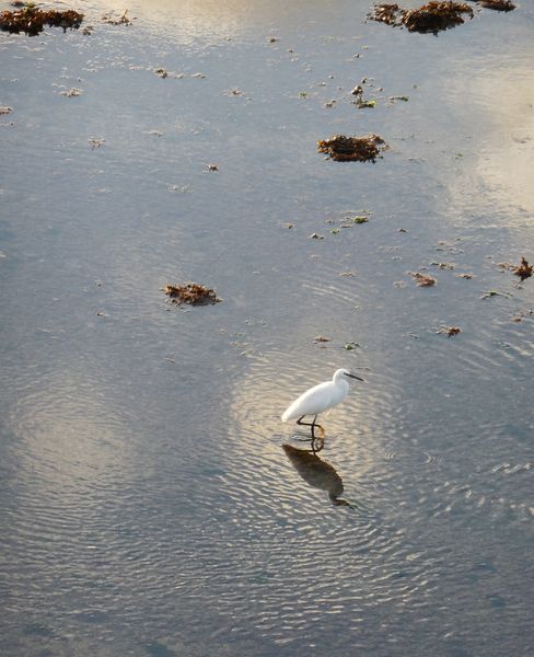 roscoff 13.11.13.4