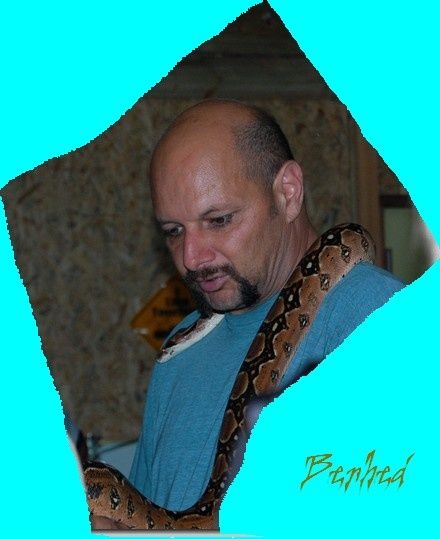 serpent2.jpg
