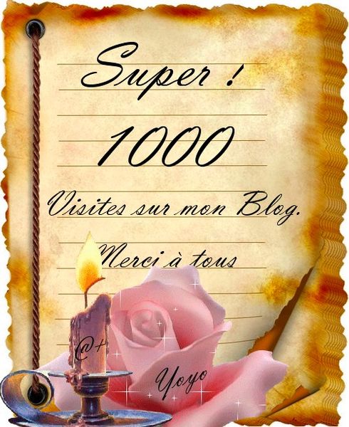 1000-Visites.jpg