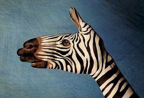 Guido Daniele 5