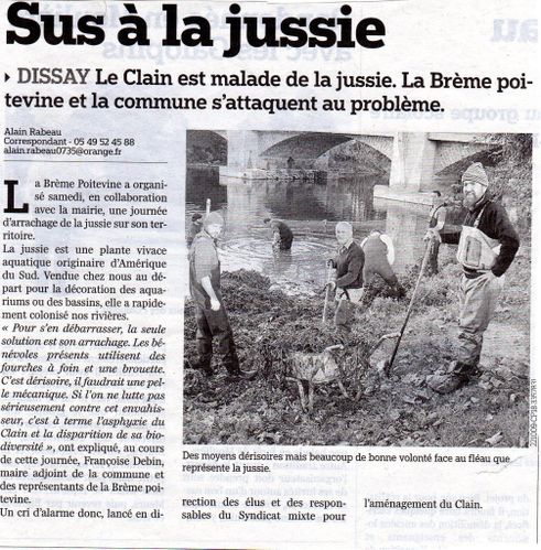 siute016-copie-1.jpg