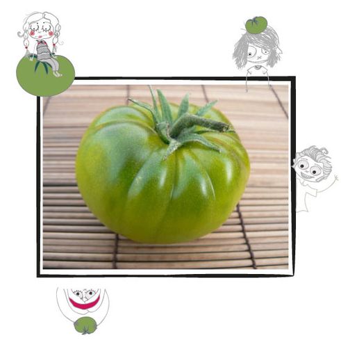 tomates vertes-copie-1