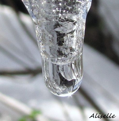 Goutte-glacee-2010---14.jpg