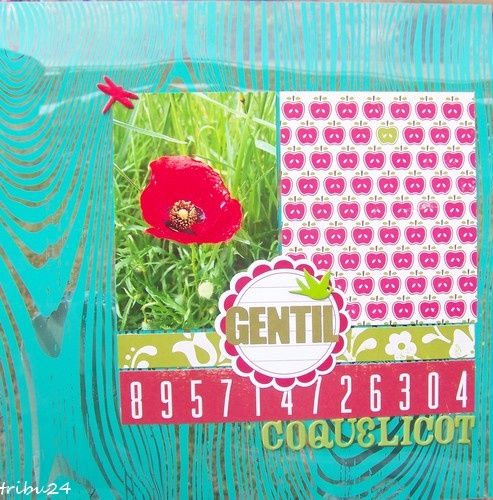 coquelicot.jpg