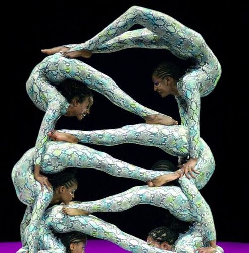 Ethiopiennes contorsion cirque Phénix