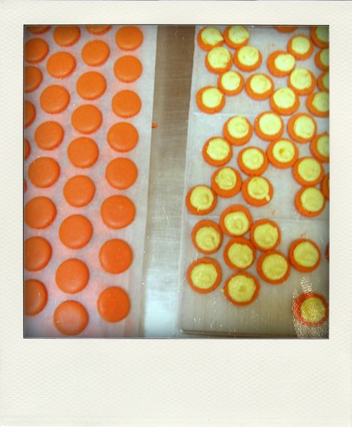17.02.10---26--pola.jpg