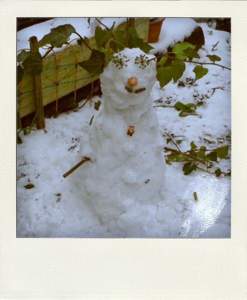 DSCN1221-pola.jpg