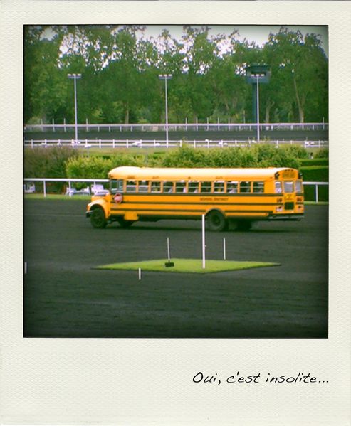 PIC 0331-pola