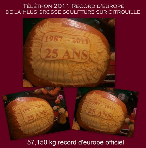 record-d-europe-2011.jpg