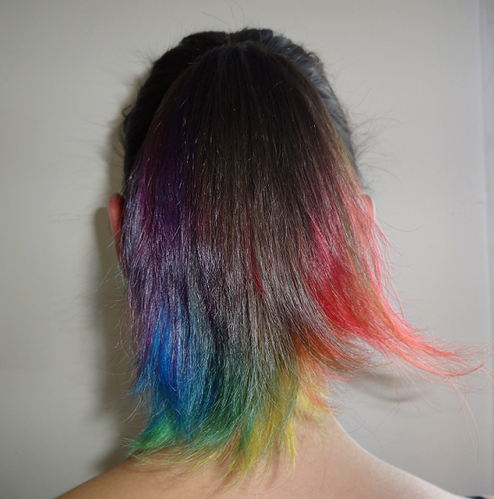 rainbow-ponytail.png
