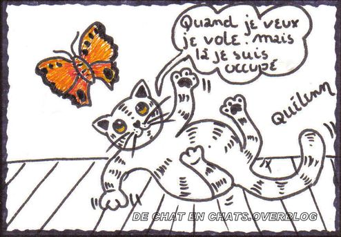 dessin de chat le chat qui vole au dessus de ses reves