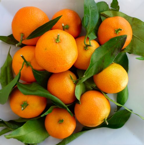 clémentines