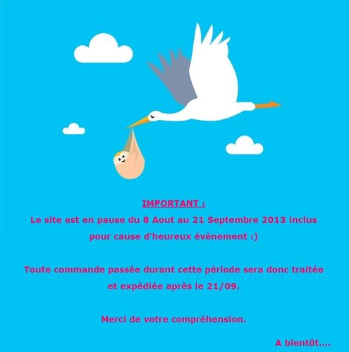 cigogne-naissance2.jpg