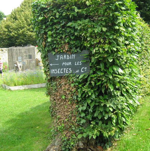 photos-articles-0250-copie-1.jpg