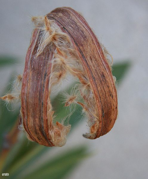 recueil-67-0280-a.jpg