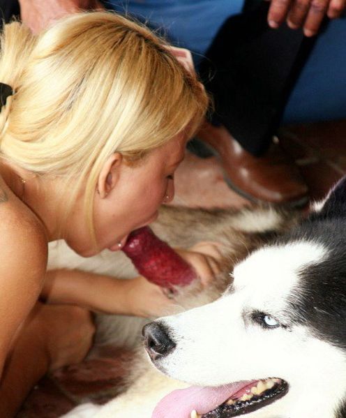 le sexe gratuid sexe animaux le sexe gratuid sexe animaux