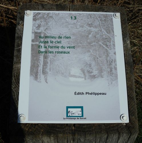 13phélippeau