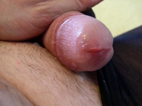 bite 25 cm gay autour de moi bite 25 cm gay autour de moi