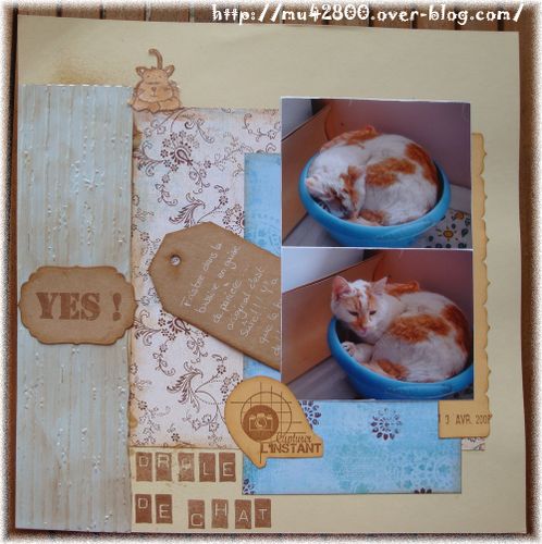 scrap2008 page17a