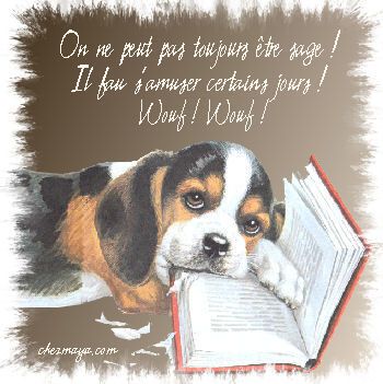 chien-livre-2fe077.jpg