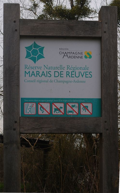 Marais de Saint-Gond à Reuves----