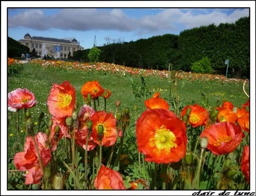 le jardin des plantes à Paris - Le blog de clair de lune Jardin Des Plantes