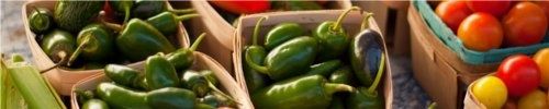 alimentation