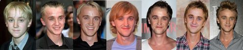 Tom-2.jpg