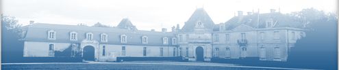 chateaux bleu