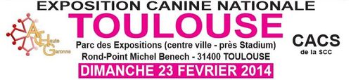 Expo-Canine-Toulouse-2014-02.JPG
