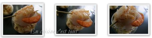 Montage-St-Jacques-fondue-de-poireaux.jpg
