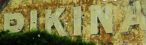 pub-Pikina.JPG