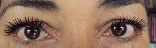 eye-powder-6.JPG