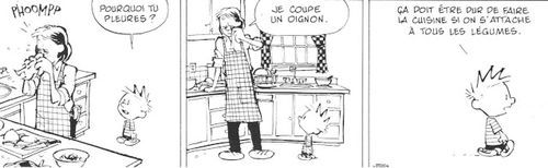 oignon10.jpg