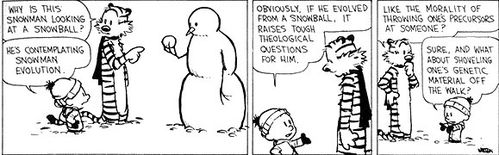 calvin et hobbes neige