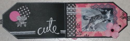 Pages 5 et 6