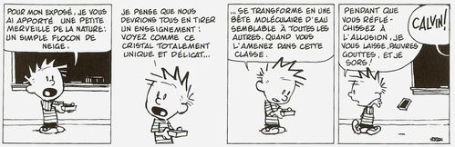 Calvin-et-Hobbes--extrait-de-l-album---Gare-au-psychopathe-.jpg