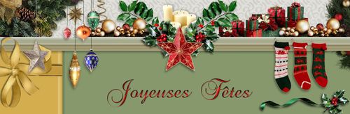 maison noel41