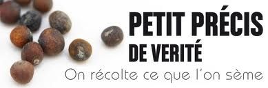 petit-precis-de-verite.jpg
