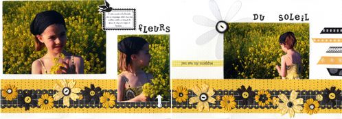 Fleurs du soleil