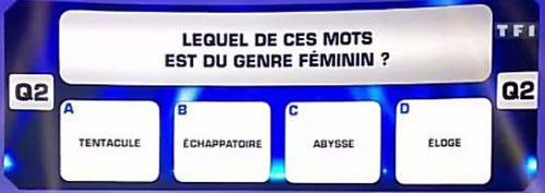 lequel-mot-feminin.JPG