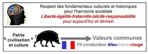 Fondamentaux-W-copie-1