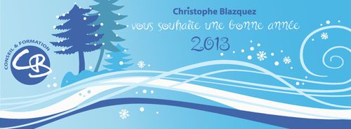 Bonne-Annee-2013.jpg