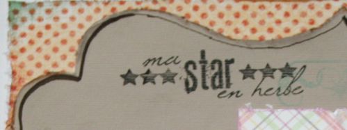 page-star-en-herbe--detail-haut-g-lilou-016.JPG