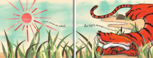 Tigre2ed-dp1-MT.jpg