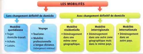 Organigramme-Les-mobilites.jpg