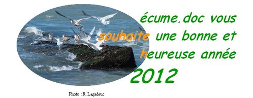 voeux2012.jpg