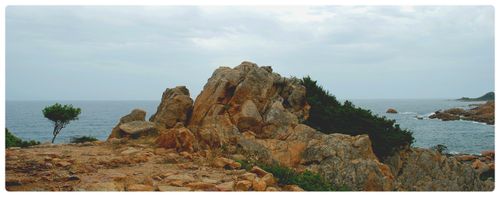 Sardaigne-2010-0117M.JPG